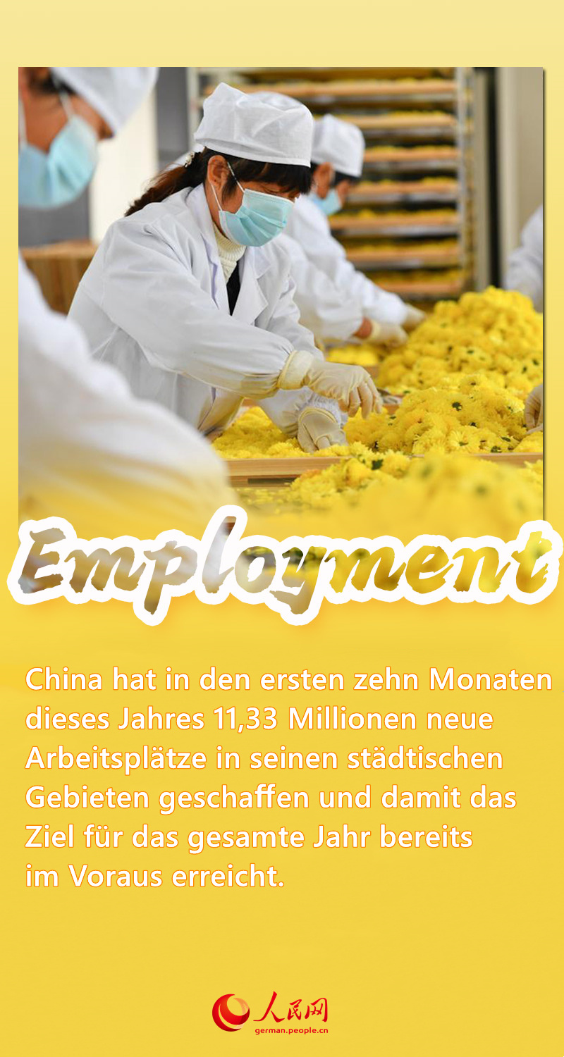 Ein Blick auf Chinas Wirtschaft 2021