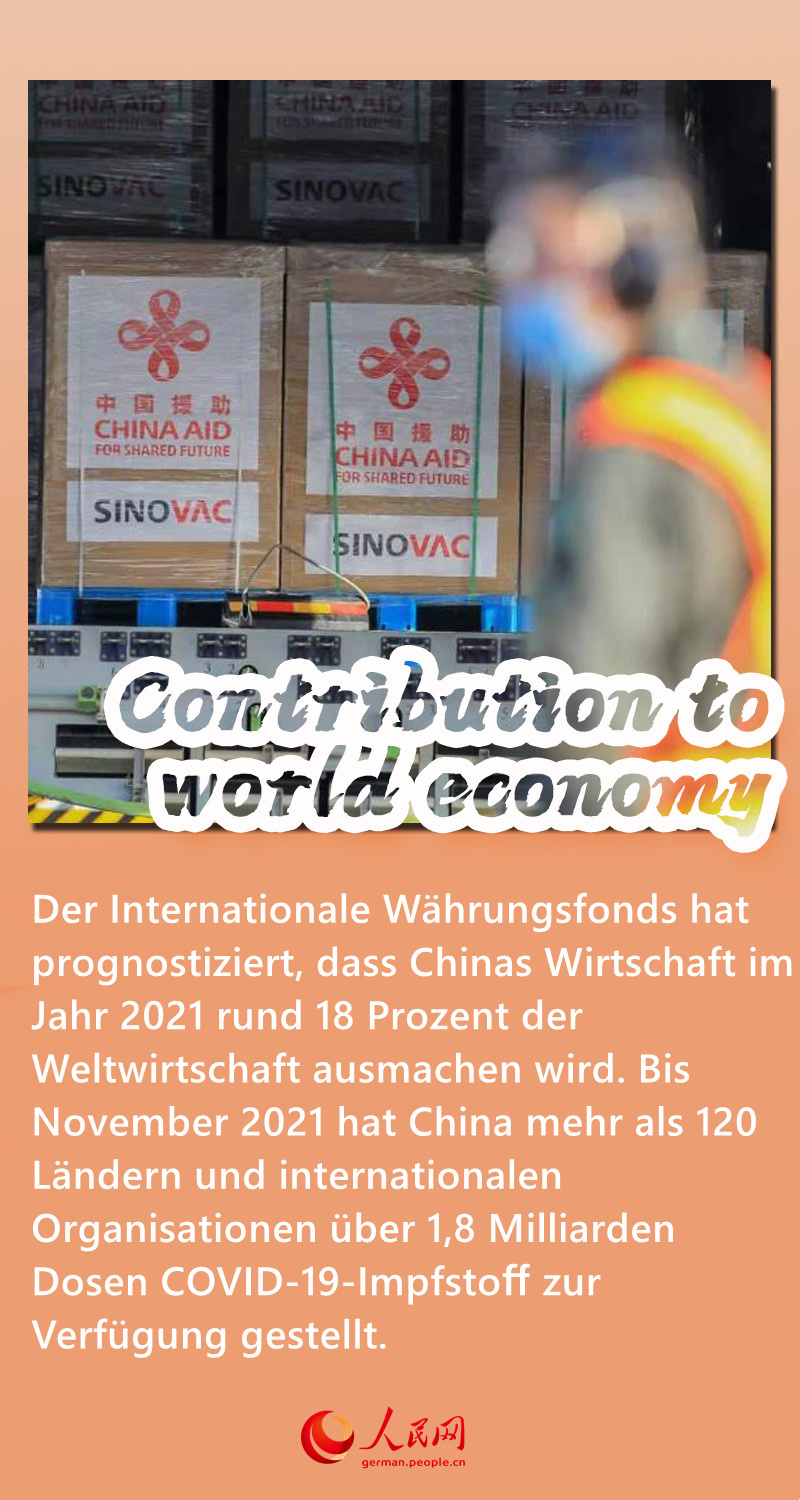 Ein Blick auf Chinas Wirtschaft 2021