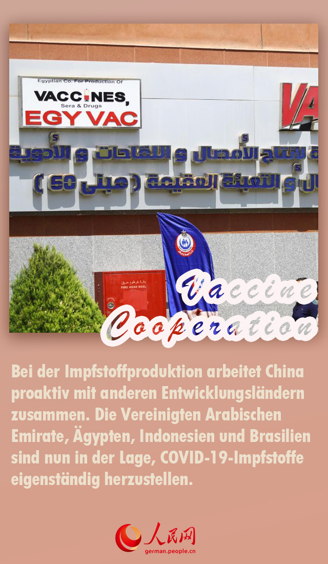 Jahresüberblick: Chinas Kampf gegen COVID-19 