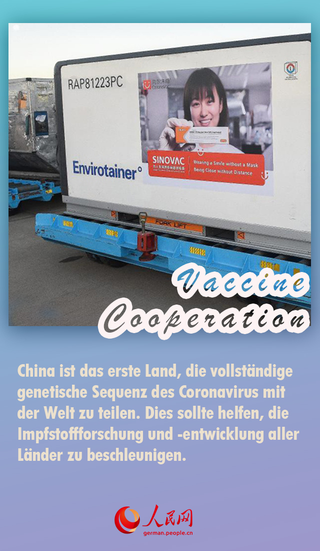 Jahresüberblick: Chinas Kampf gegen COVID-19 