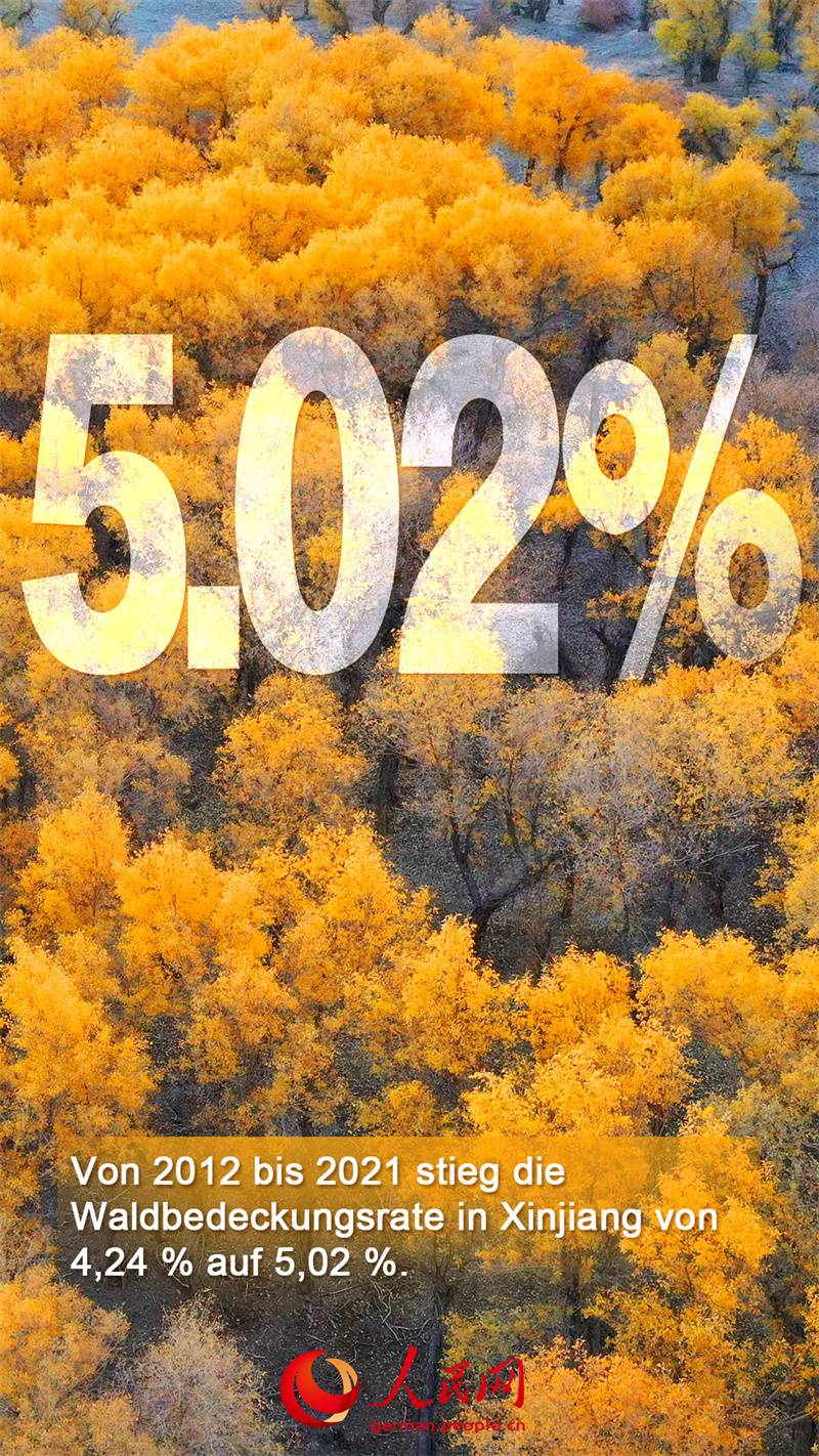 Von 2012 bis 2021: Die Ver?nderungen in Xinjiang