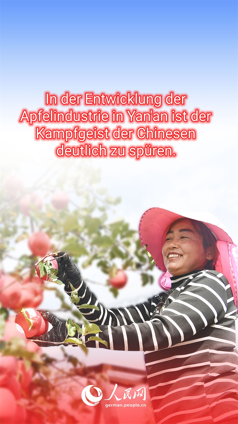 Warum sind die ?pfel aus Yan'an so beliebt?