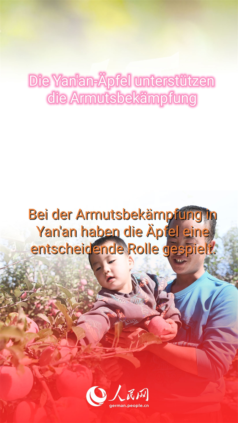 Warum sind die ?pfel aus Yan'an so beliebt?