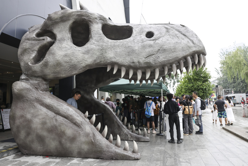 Ein Spaziergang durch den ?Jurassic Park“ - über 500 wertvolle Fossilien in Beijing ausgestellt