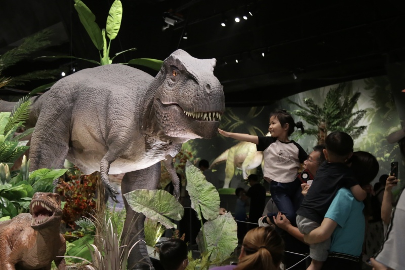 Ein Spaziergang durch den ?Jurassic Park“ - über 500 wertvolle Fossilien in Beijing ausgestellt