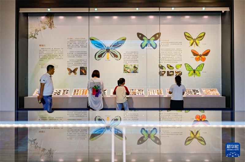 Kunterbunte Sommerferien