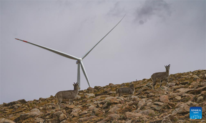 300-Megawatt-Kraftwerk Sa'gya geht in abschlie?ende Erprobungsphase