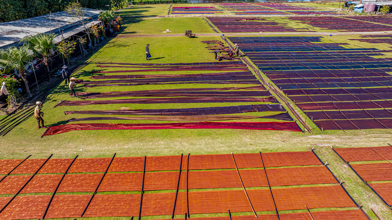 Foshan: Ein Meer aus farbenfroher Xiangyun-Seide