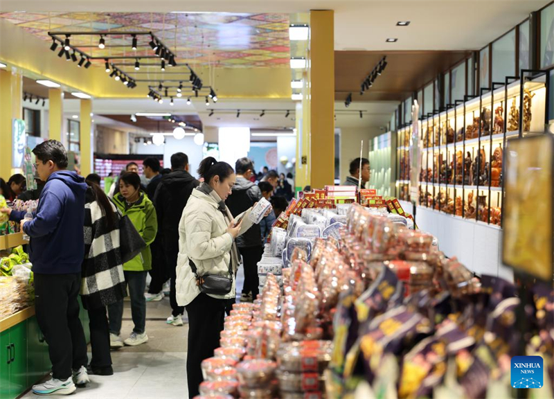 Grenzüberschreitende Tourismus-Kooperationszone an den Detian-Ban Gioc-Wasserf?llen zwischen China und Vietnam