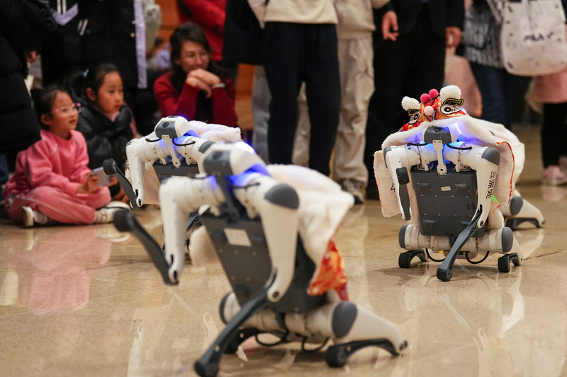 Roboterhunde treten als Mini-L?went?nzer auf