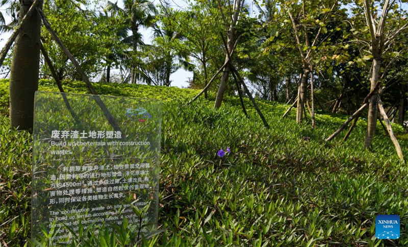 Hainans Boao richtet kohlenstofffreie Demonstrationszone ein