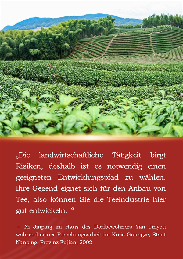 Die Geschichte von Xi Jinping und dem Fujian-Tee