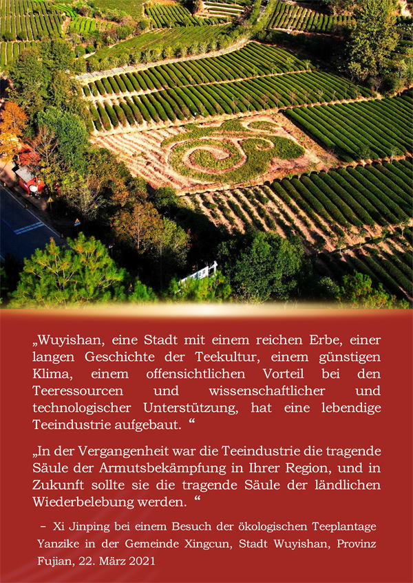 Die Geschichte von Xi Jinping und dem Fujian-Tee