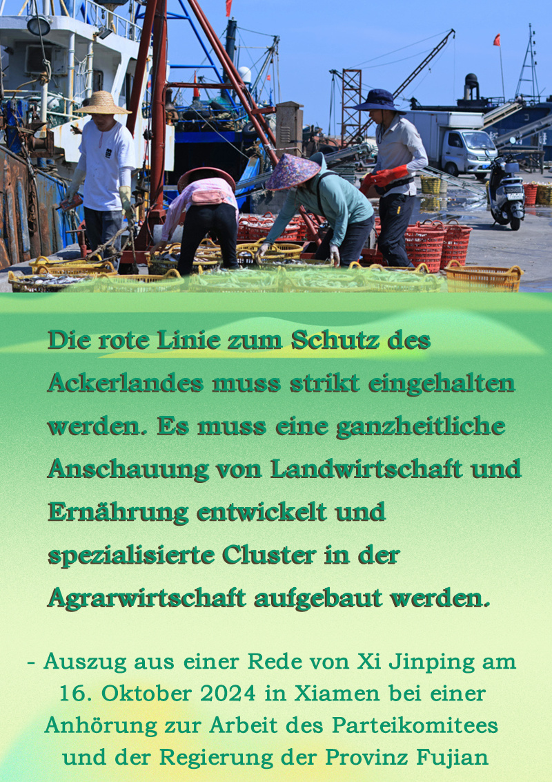 Aussagen von Xi Jinping über den Weg zur l?ndlichen Wiederbelebung in Fujian