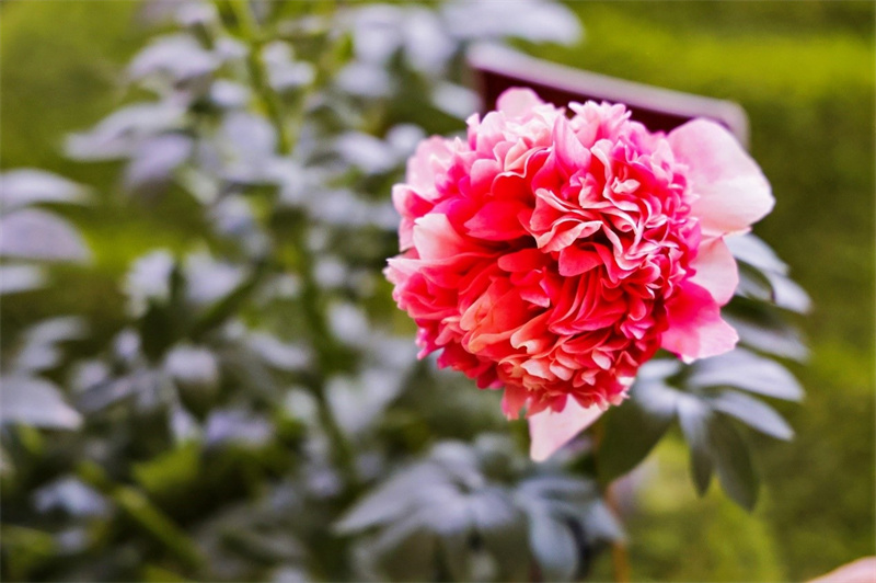 Journalisten des Jugend-Freundschaftsaustauschs besuchen im Rahmen der ?Belt and Road“-Initiative Luoyang