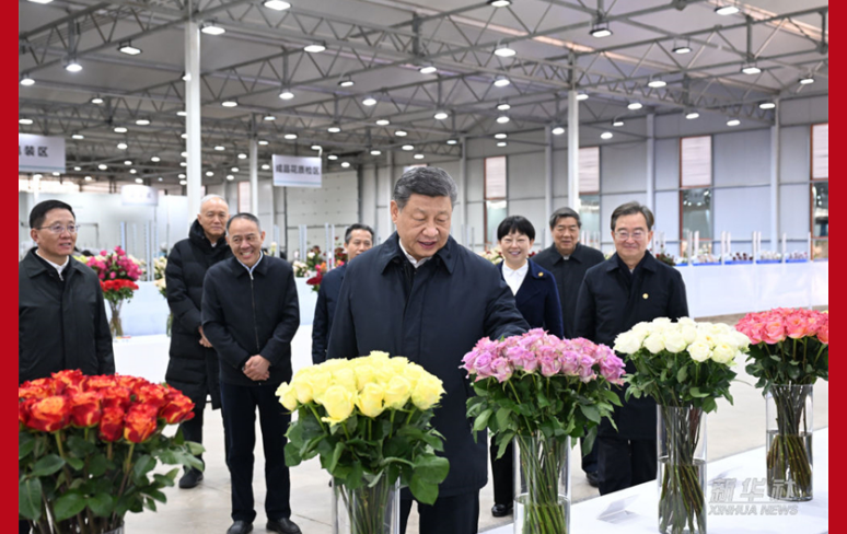 Xi Jinping inspiziert Lijiang in Yunnan