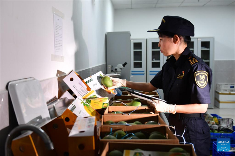 Erste Mango-Lieferung aus Bangladesch erreicht China
