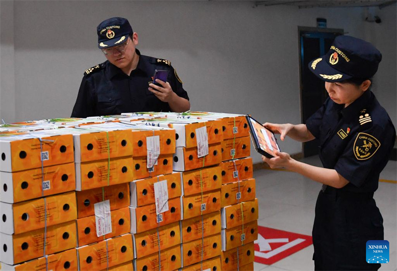 Erste Mango-Lieferung aus Bangladesch erreicht China