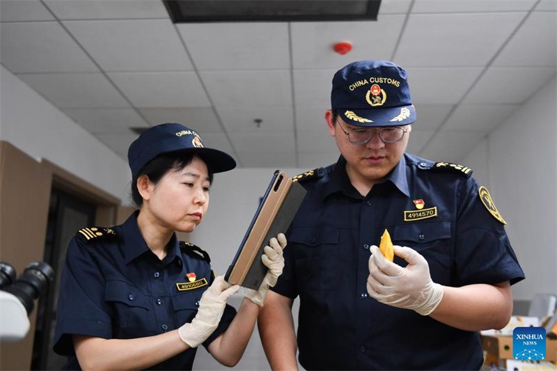 Erste Mango-Lieferung aus Bangladesch erreicht China