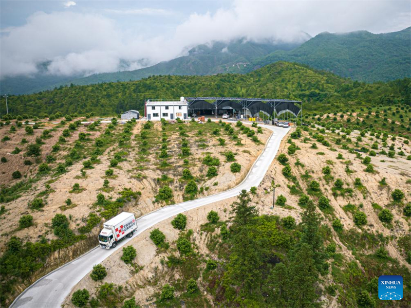 China exportiert frische Dongkui-Wachsbeeren nach Deutschland