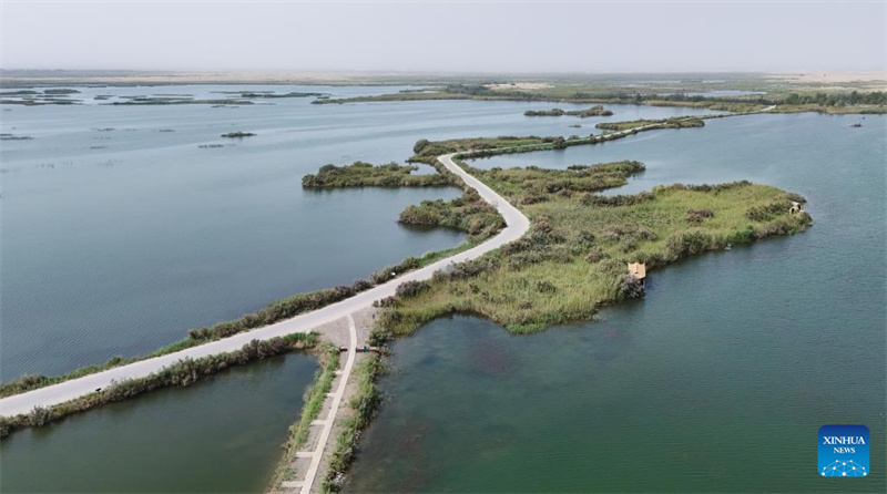 Feuchtgebiete im chinesischen Xinjiang dienen als wichtige ?kologische Rückzugsorte