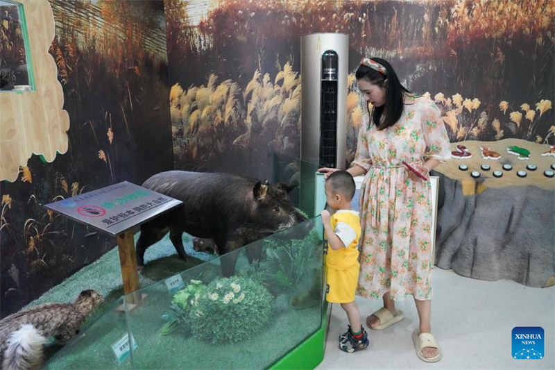 Feuchtgebiete im chinesischen Xinjiang dienen als wichtige ?kologische Rückzugsorte