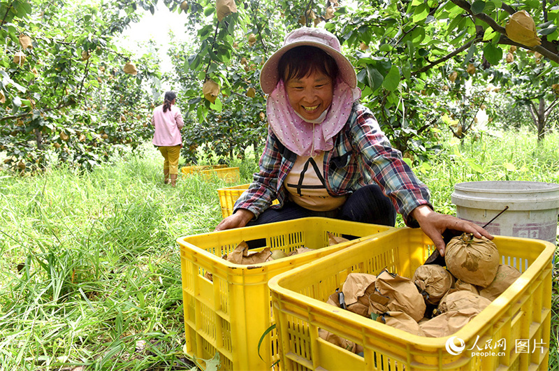 Erntezeit – was für eine Freude!