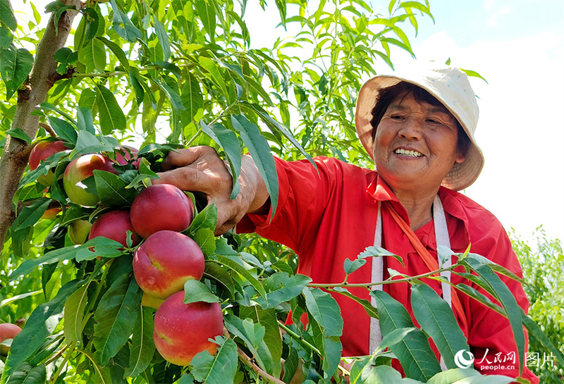 Erntezeit – was für eine Freude!