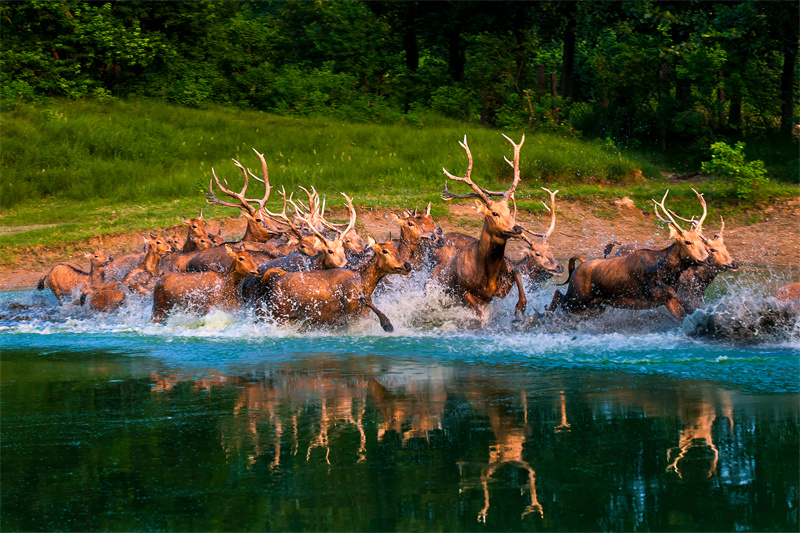 World Coastal Forum 2025 in Yancheng er?ffnet