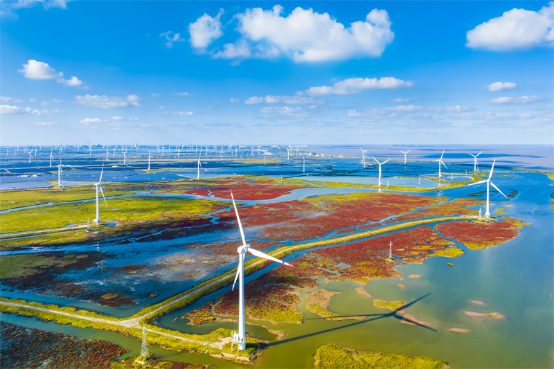 World Coastal Forum 2025 in Yancheng er?ffnet