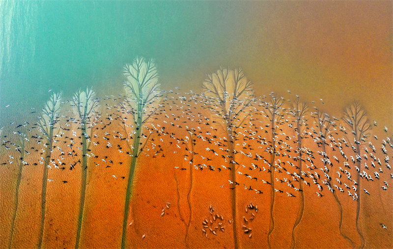 World Coastal Forum 2025 in Yancheng er?ffnet