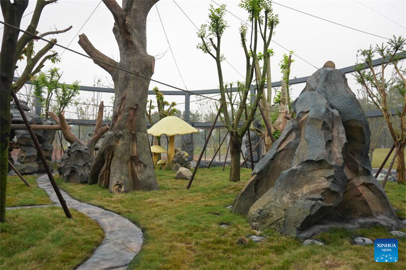 Neue Basis für Naturschutz und Forschungszentrum für Riesenpandas geht in Probebetrieb