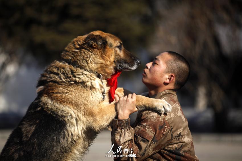 Abschiedsfeier für Wachhund