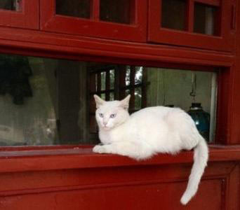 Sü? und edel: Die W?chter der Verbotenen Stadt