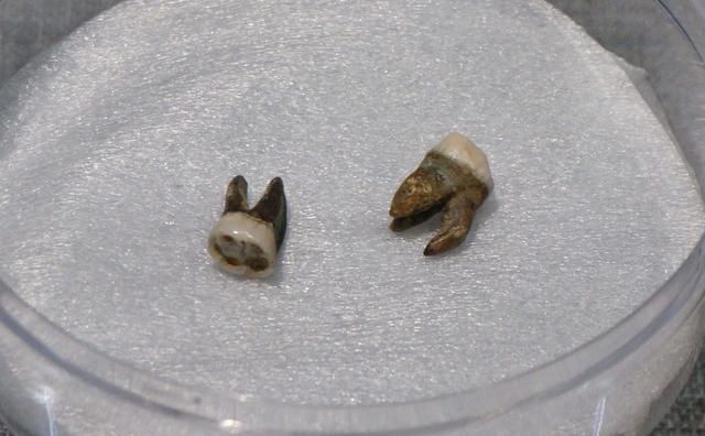 Yangdi feiert Premiere in Yangzhou